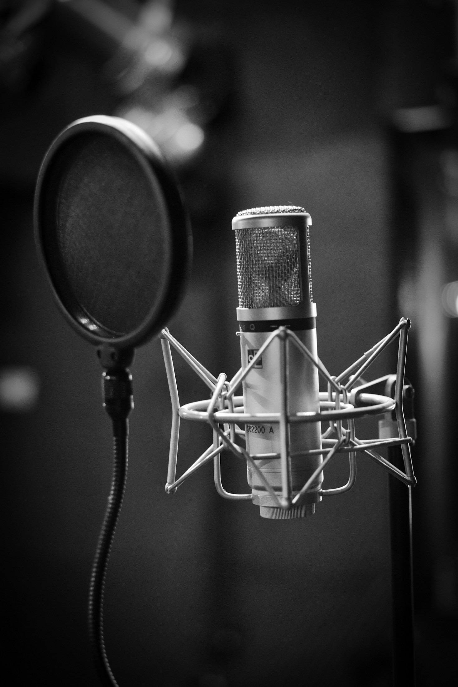 Programação ao Vivo: O Que Esperar da Rádio Cidadania